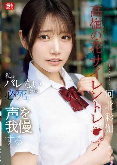 高嶺之花無聲強暴 我拼命忍住聲音不被發現 河北彩伽